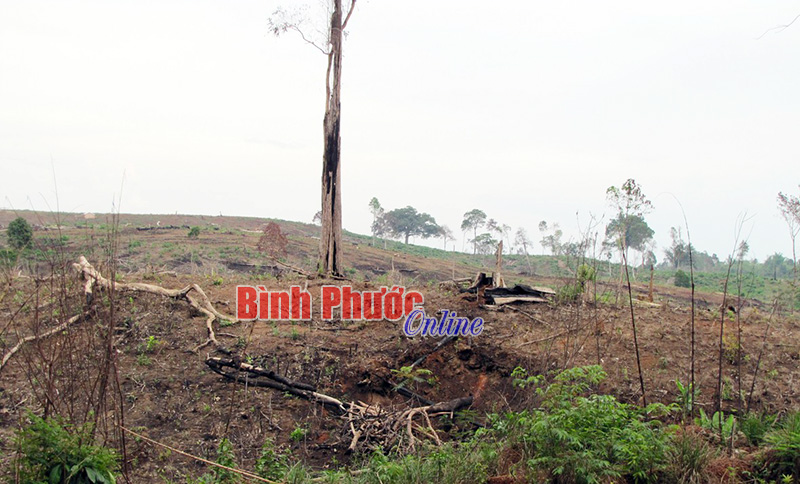 Bình Phước vẫn trong nguy cơ cháy rừng ở cấp cực kỳ nguy hiểm Bình Phước vẫn trong nguy cơ cháy rừng ở cấp cực kỳ nguy hiểm