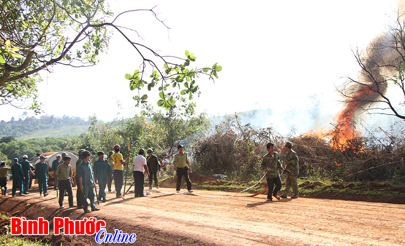 Chủ động phòng chống cháy rừng ở Vườn quốc gia Bù Gia Mập Chủ động phòng chống cháy rừng ở Vườn quốc gia Bù Gia Mập