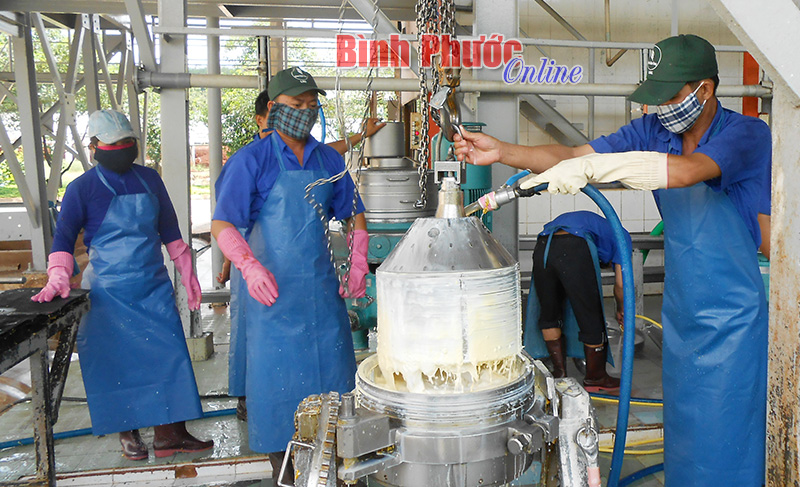 Công nghiệp chế biến sâu - chiến lược phát triển cao su bền vững Công nghiệp chế biến sâu - chiến lược phát triển cao su bền vững