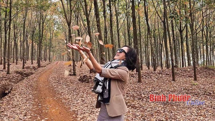 “Check in” vườn cây cao su bảo tồn