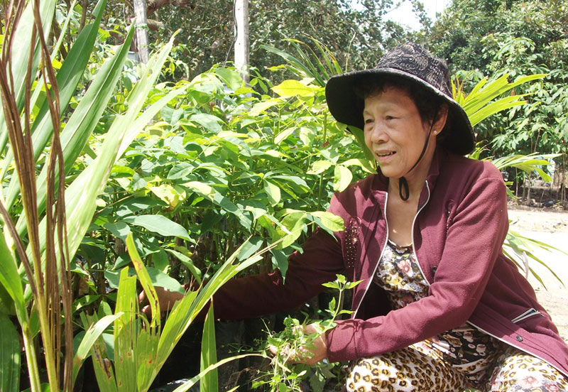 Chi hội âm nhạc - Hội Văn học nghệ thuật tỉnh: Khai giảng lớp bồi dưỡng kỹ năng sáng tác ca khúc