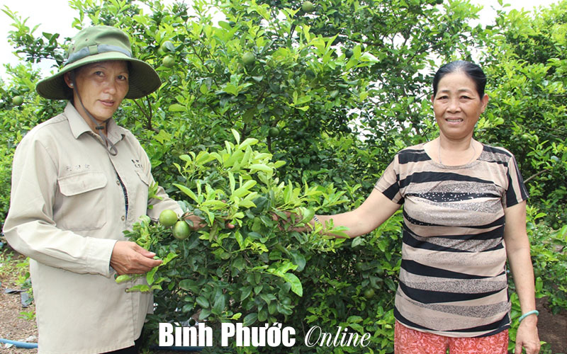 Chi hội trưởng hết lòng vì mọi người Chi hội trưởng hết lòng vì mọi người