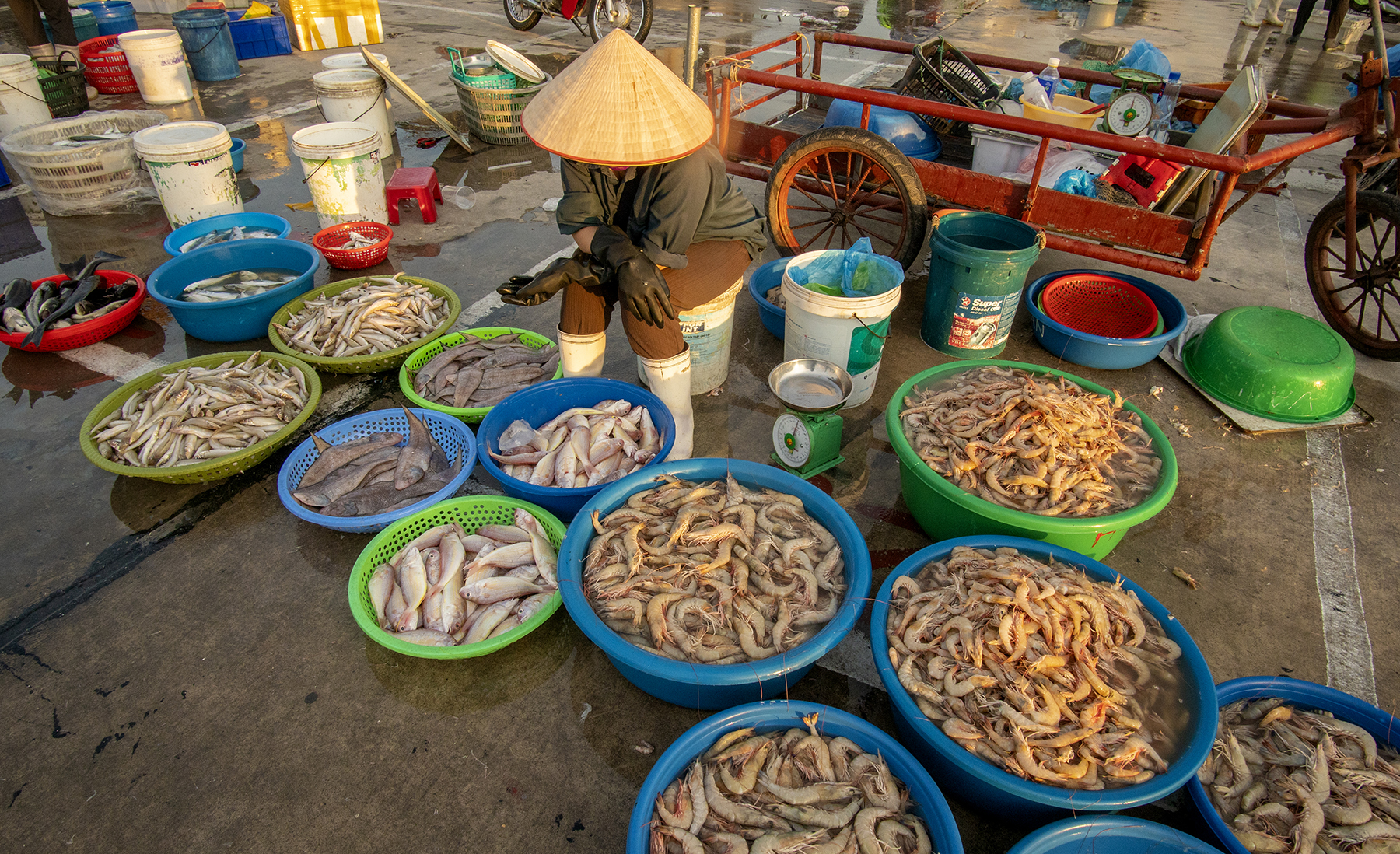 cho-ca-cai-rong10-16-14-28.jpg