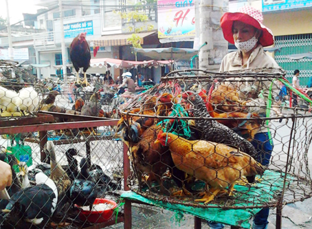 Mỗi tháng, chợ gia cầm phải đóng cửa một ngày