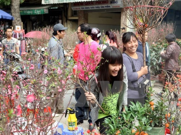 chohoa16102015081646.jpg