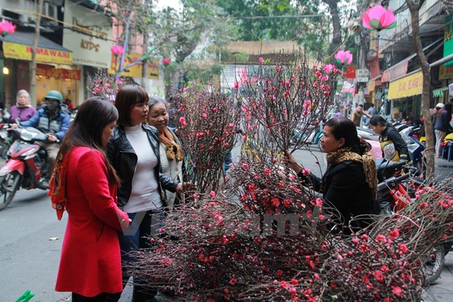 chohoahangluoc219102016022651.jpg