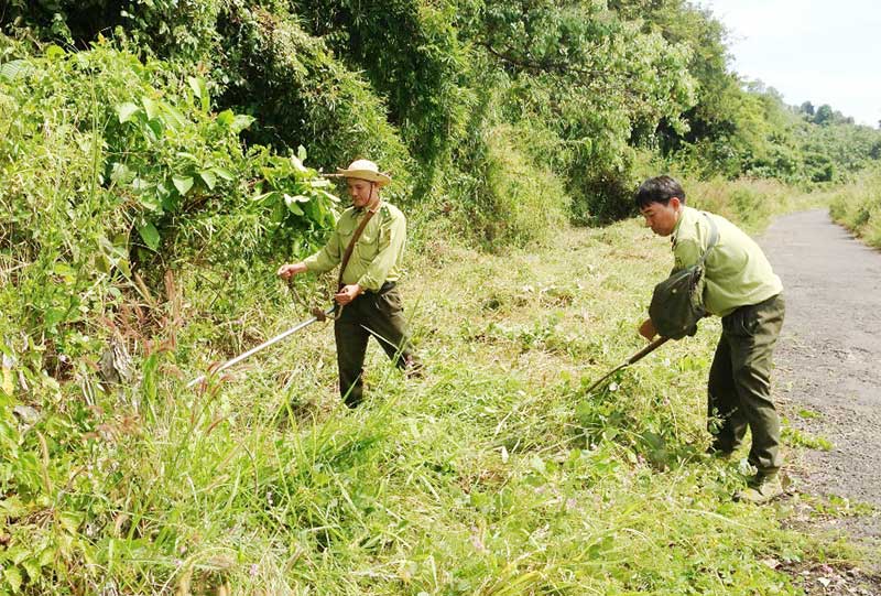 Thực hiện nghiêm các biện pháp bảo vệ rừng mùa khô 2015-2016