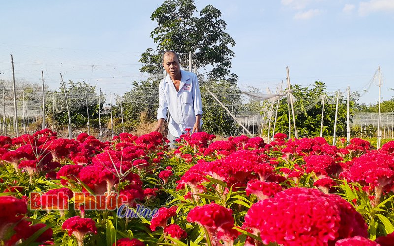 Chủ động đón tết an toàn Chủ động đón tết an toàn