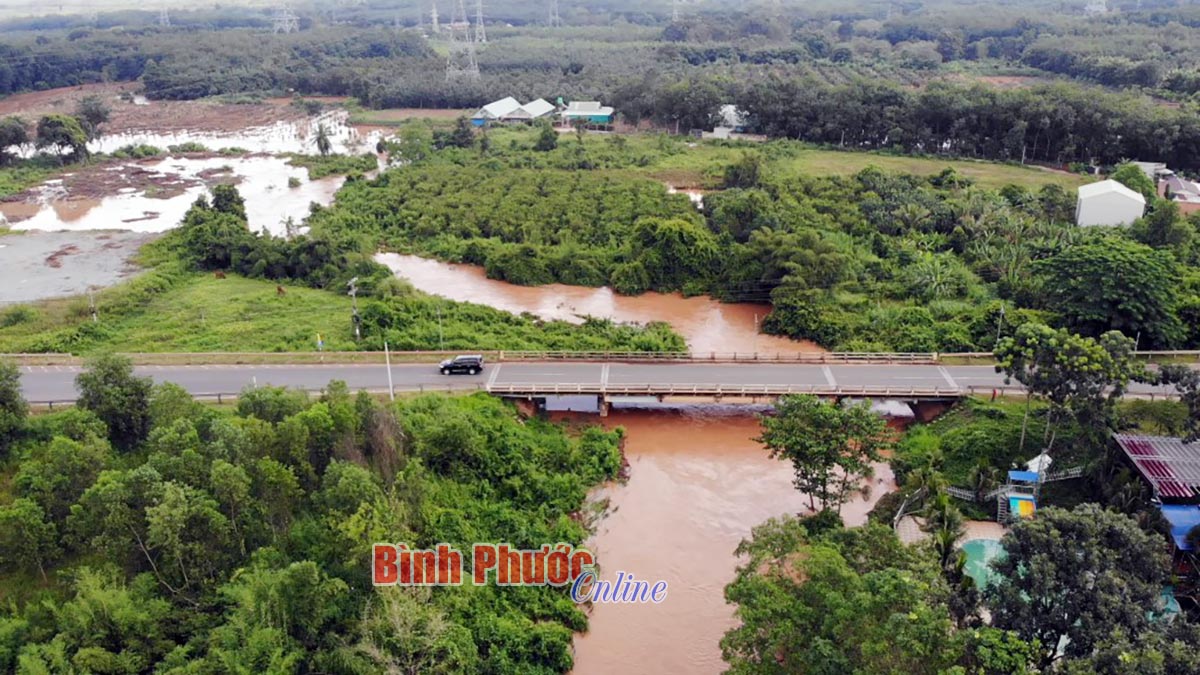 Chủ động phòng, chống bão lụt