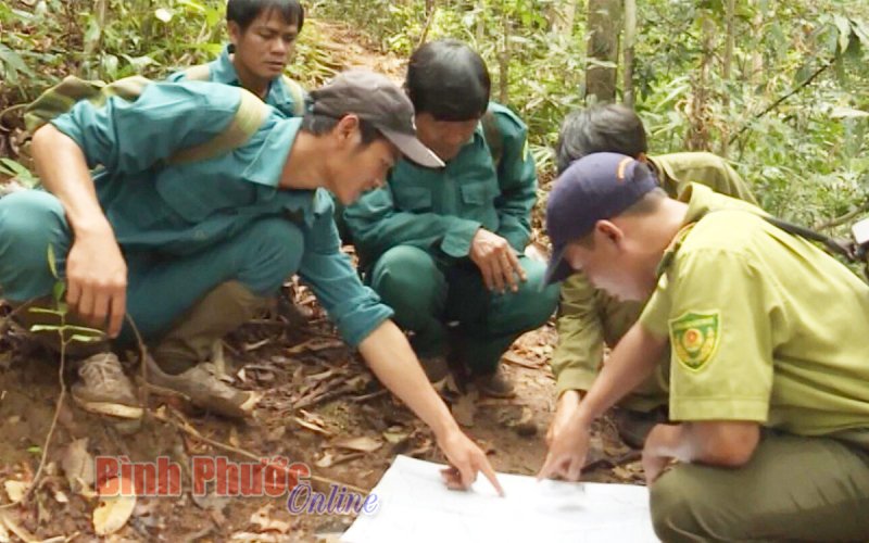 Chủ động phòng chống cháy rừng Chủ động phòng chống cháy rừng