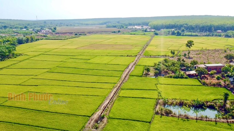 Chủ động ứng phó với khô hạn