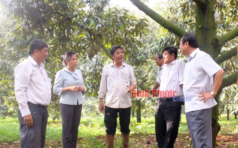 Chung sức xây dựng nông thôn mới Chung sức xây dựng nông thôn mới