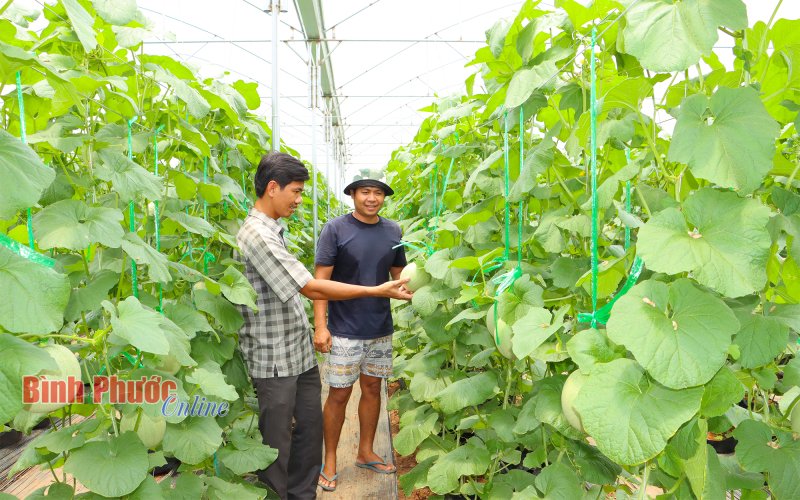 Chung sức xây dựng nông thôn mới Chung sức xây dựng nông thôn mới