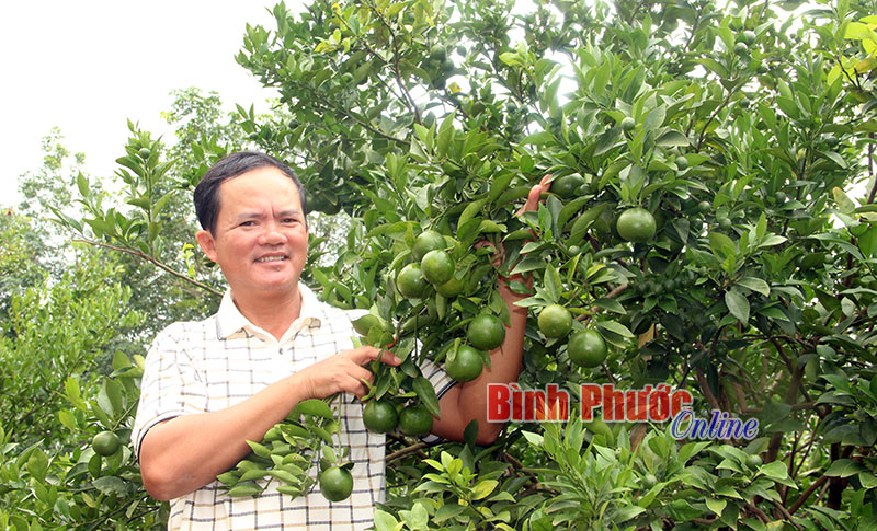 Chủ trang trại hiến kế làm nông