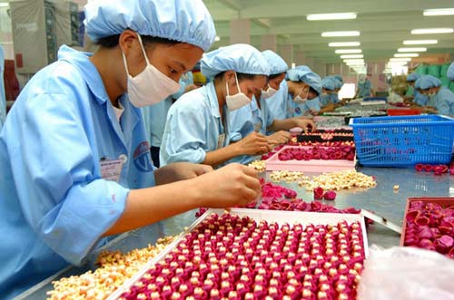 Trả lương thấp hơn mức lương tối thiểu sẽ bị phạt 75 triệu đồng