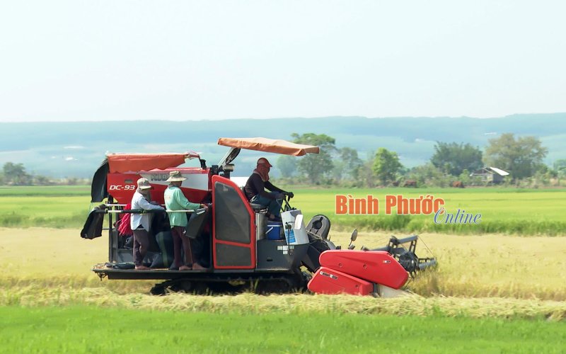 Cơ giới hóa sản xuất lúa nước