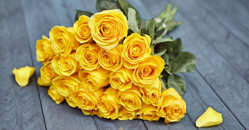 Cổ tích giữa đời thường