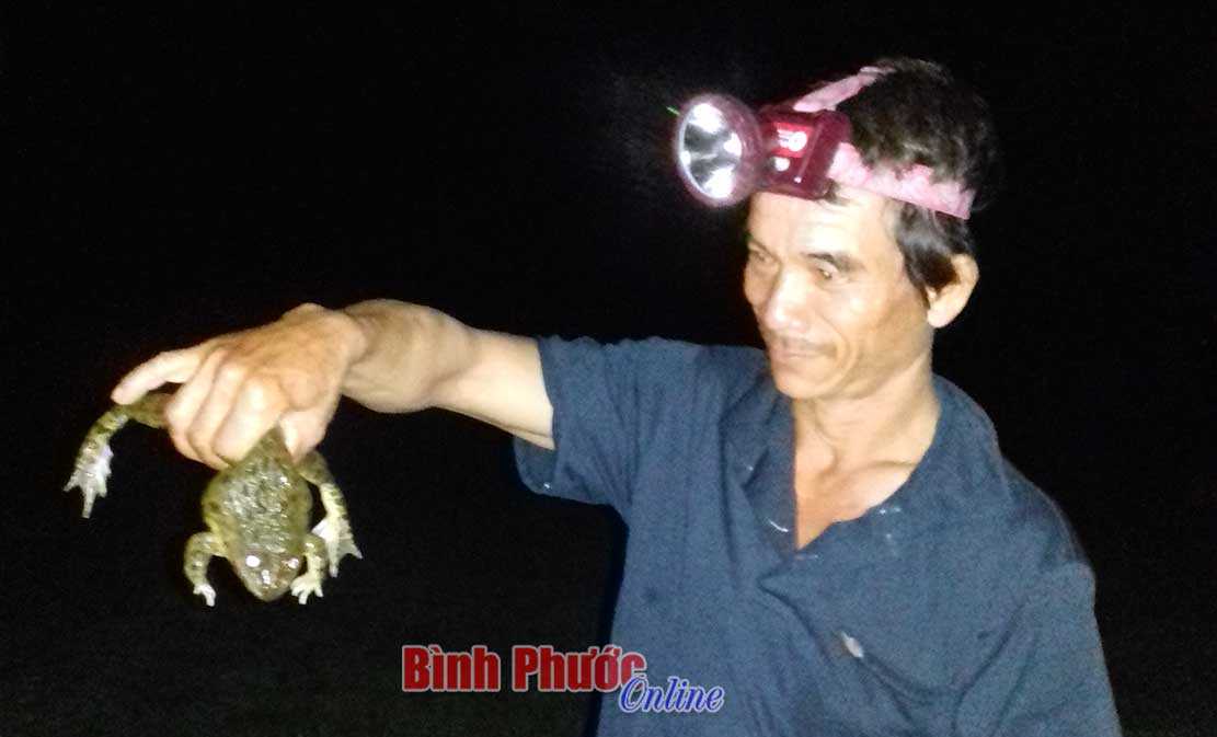 Mưu sinh trong đêm mưa Mưu sinh trong đêm mưa