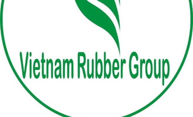 Cơ cấu cổ phần của Tập đoàn Công nghiệp cao su Cơ cấu cổ phần của Tập đoàn Công nghiệp cao su