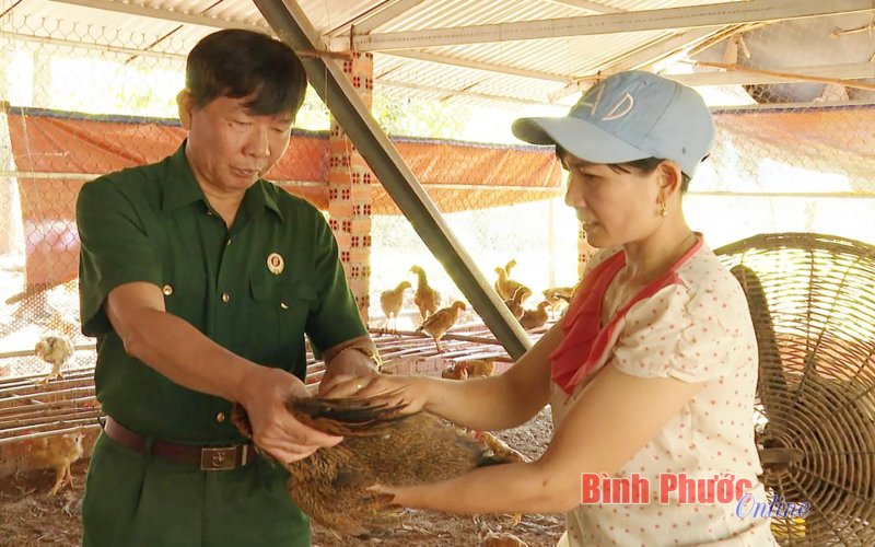 Còn sức khỏe, còn lao động