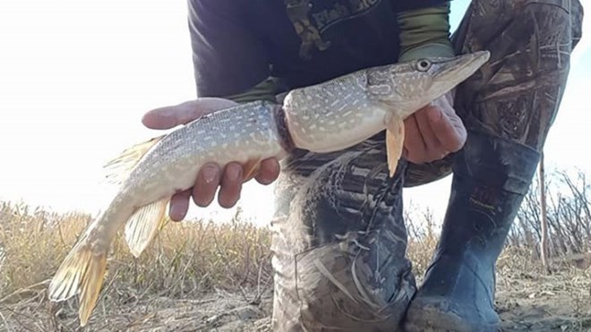conca12305112017091648.jpg