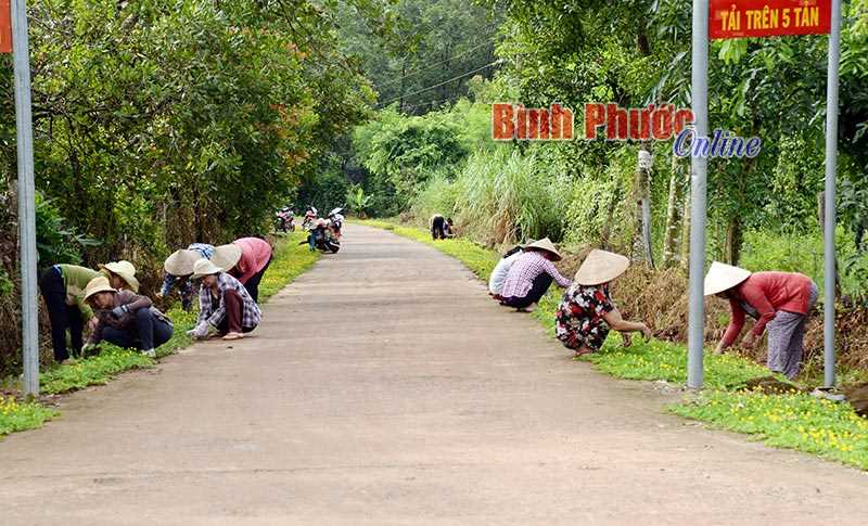 Cho đường thêm xanh Cho đường thêm xanh