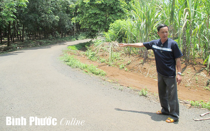 Con đường của lòng dân Con đường của lòng dân