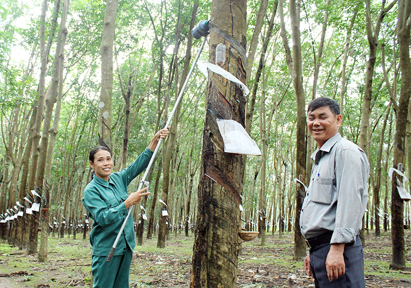 Nhà sáng chế là công nhân Nhà sáng chế là công nhân