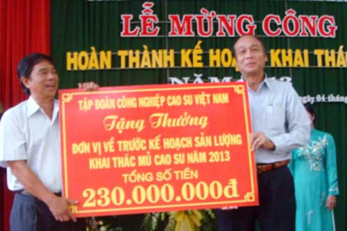 Hoàn thành kế hoạch khai thác mủ năm 2013 Hoàn thành kế hoạch khai thác mủ năm 2013