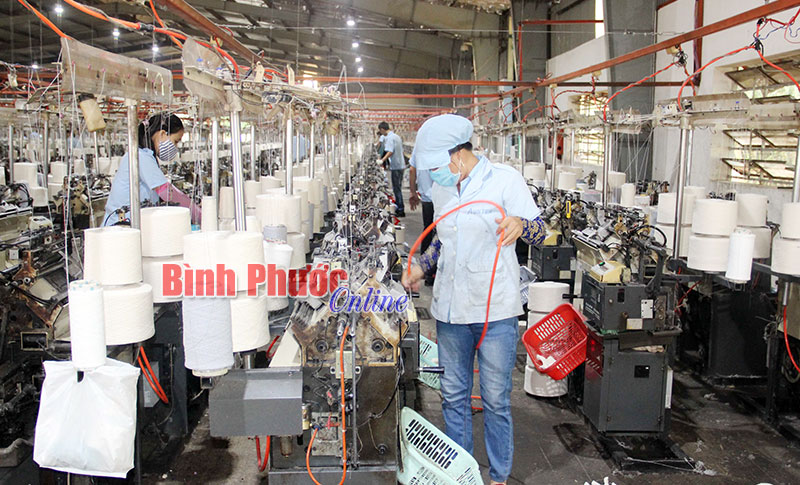 Công ty cổ phần MDF Dongwha thưởng tết cao nhất 243 triệu đồng Công ty cổ phần MDF Dongwha thưởng tết cao nhất 243 triệu đồng