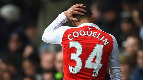 coq1.jpg