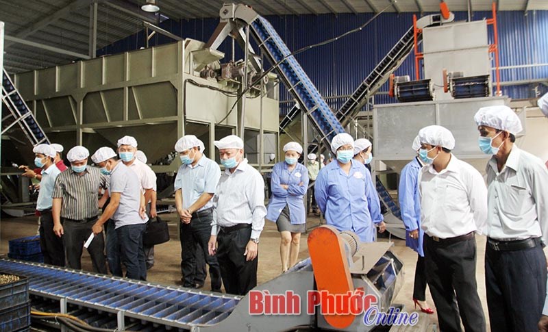 Giới thiệu phương pháp kiểm soát không khí trong chế biến hạt điều