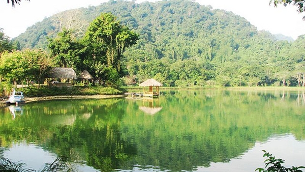 cucphuong2.jpg