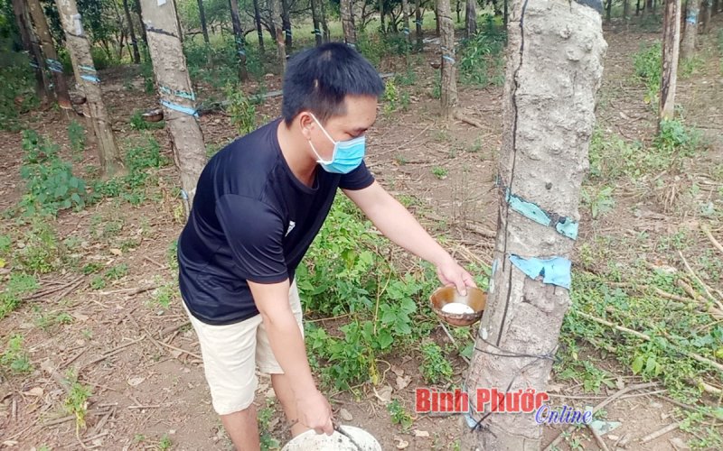 Cùng thanh niên làm giàu