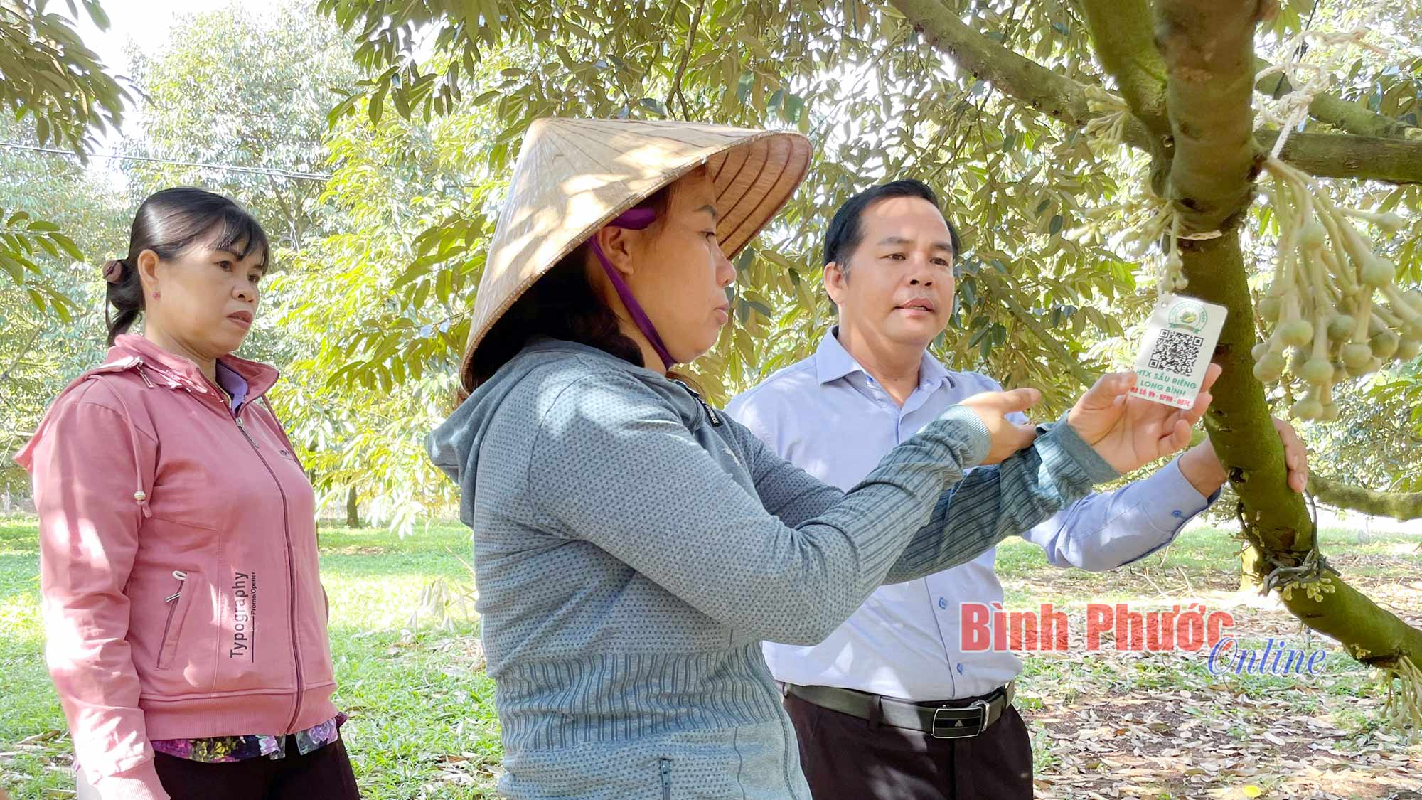 “Cuộc đua” cải thiện chỉ số DTI