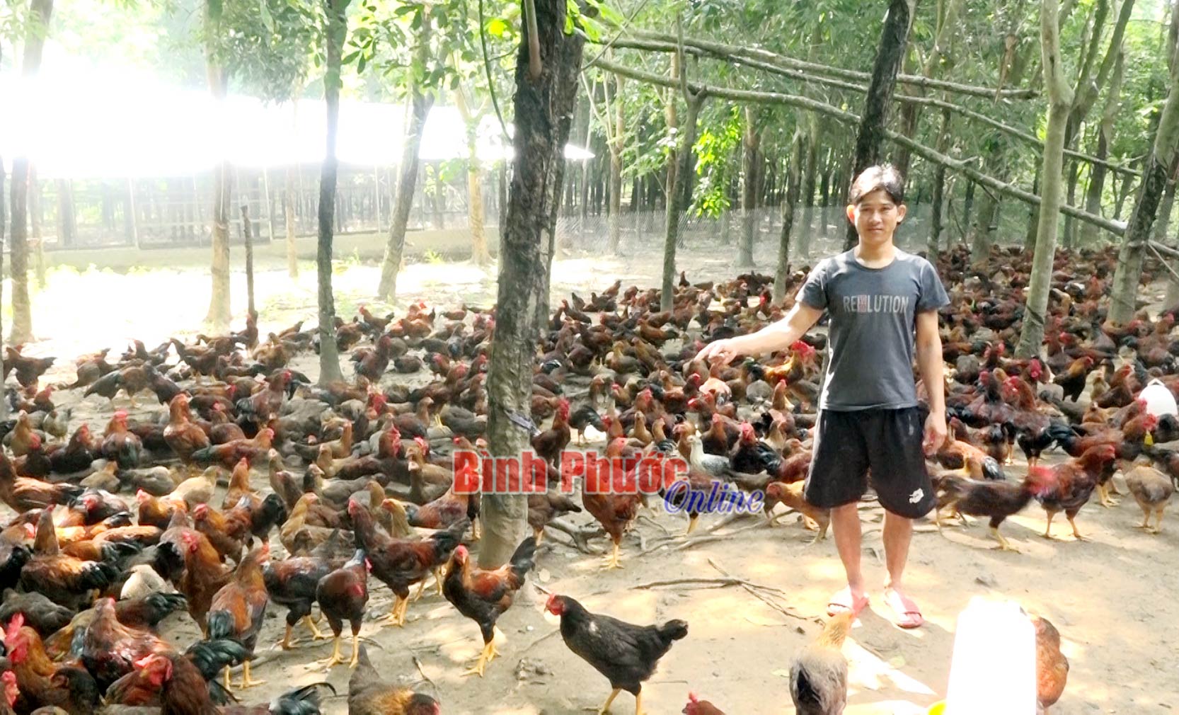 cuong214092020104440.jpg
