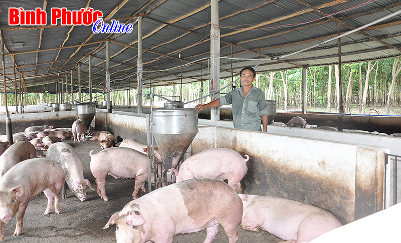 cuuchienbinh.jpg