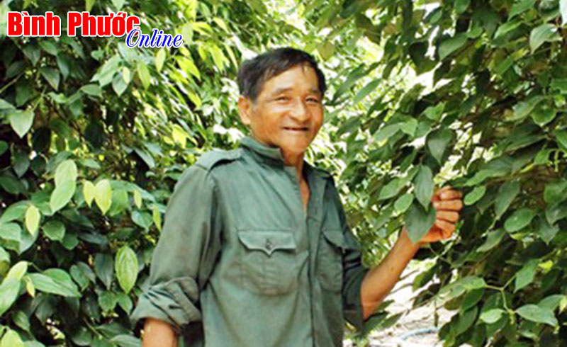 Cựu chiến binh Đào Quang Thuận thu tiền tỷ mỗi năm Cựu chiến binh Đào Quang Thuận thu tiền tỷ mỗi năm