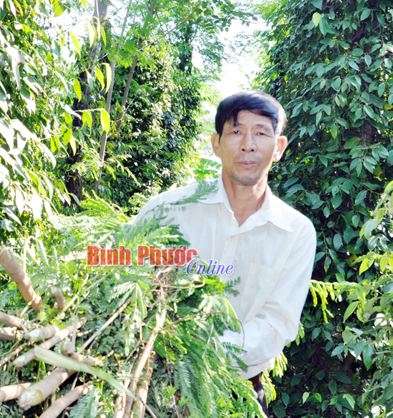 Cựu chiến binh vượt khó làm giàu Cựu chiến binh vượt khó làm giàu