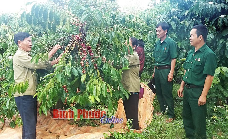 cuuchienbinh20062017031355.jpg