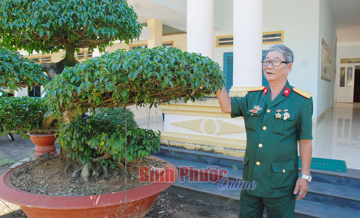 cuuchienbinh31122019031109.jpg