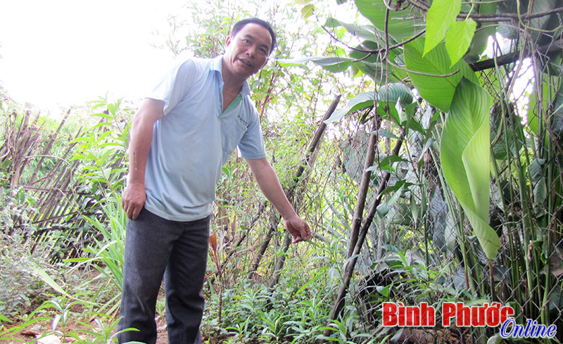 “Cứu tinh” của bệnh nhân nghèo “Cứu tinh” của bệnh nhân nghèo