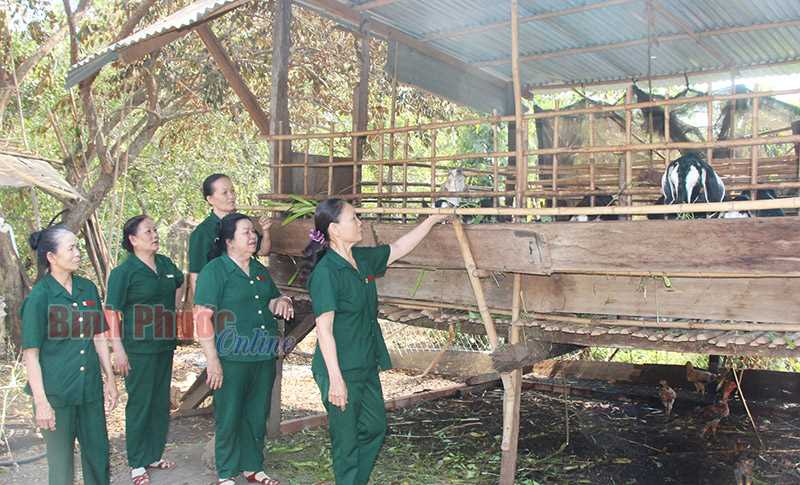 Cựu TNXP nâng cao đời sống hội viên Cựu TNXP nâng cao đời sống hội viên