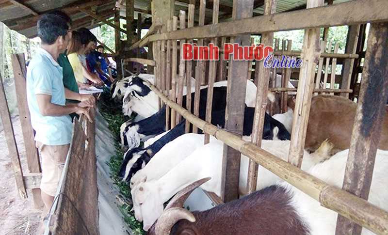 Nhân dân ủng hộ trên 9,5 tỷ đồng xây dựng NTM Nhân dân ủng hộ trên 9,5 tỷ đồng xây dựng NTM