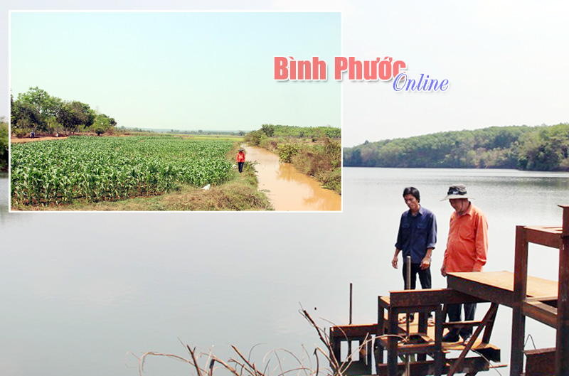 Giải cứu đại hạn từ nguồn nước thủy lợi Giải cứu đại hạn từ nguồn nước thủy lợi