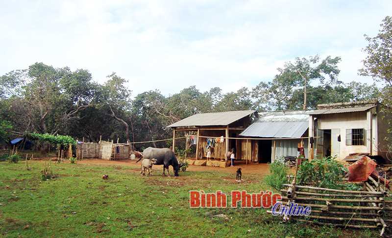 Đắk Ơ tích cực hỗ trợ người dân chuộc lại đất
