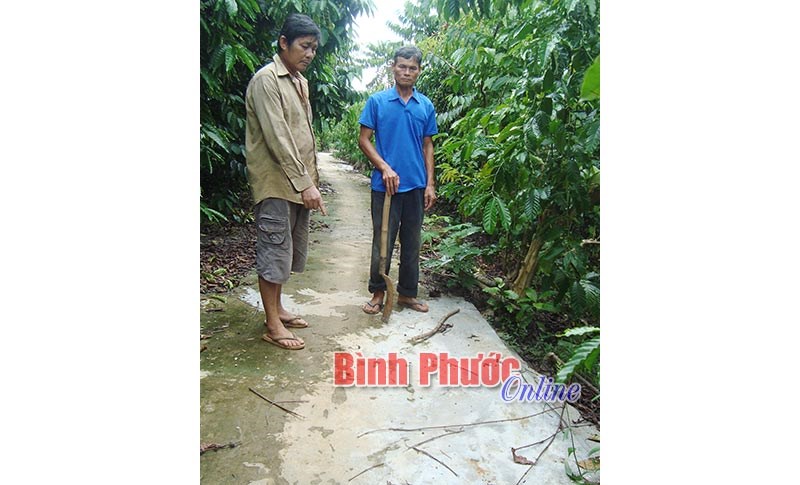 Đã làm rõ khuất tất trong làm đường giao thông ở thôn 9 Đã làm rõ khuất tất trong làm đường giao thông ở thôn 9