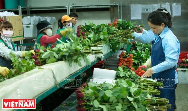 dalat1118032016095456.JPG