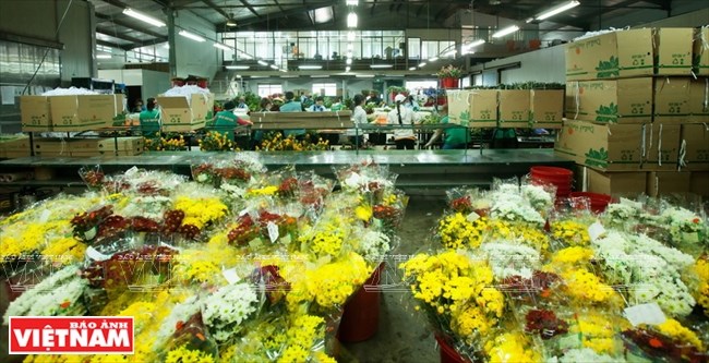 dalat1218032016095456.JPG