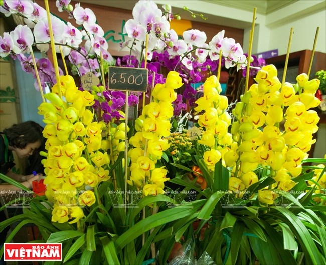 dalat2218032016095508.JPG